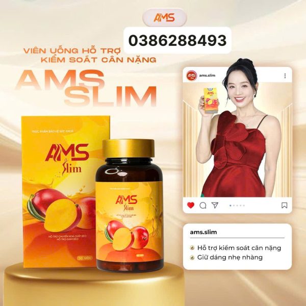 DIEN-VIEN-HOAI-AN-TIN-DUNG-AMS-SLIM