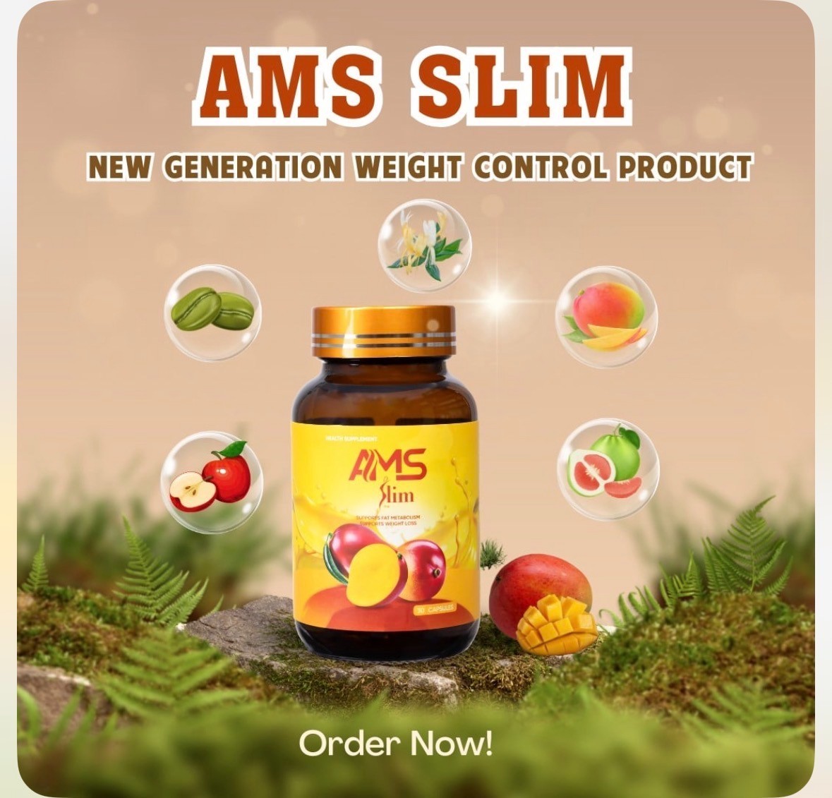 THANH-PHAN-VIEN-UONG-AMS-SLIM THANH-PHAN-VIEN-UONG-AMS-SLIM